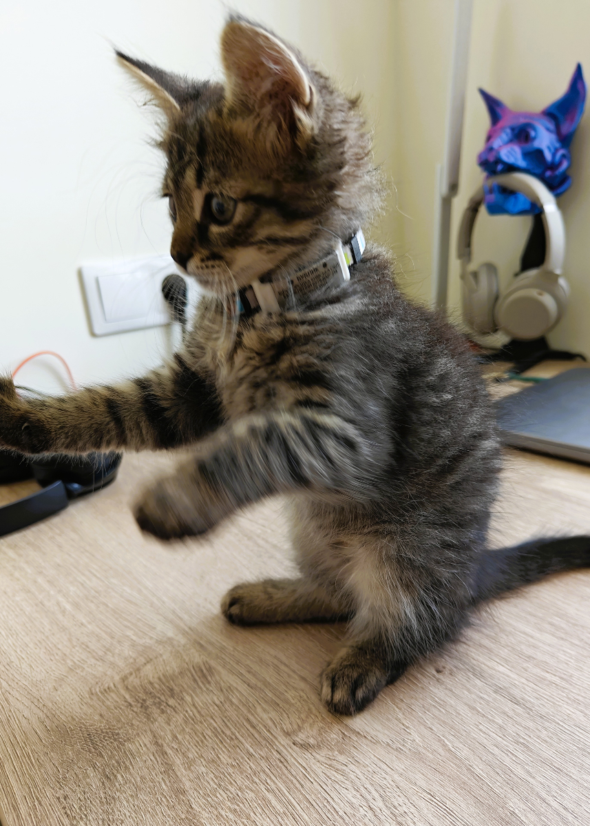 Helpid відгуки