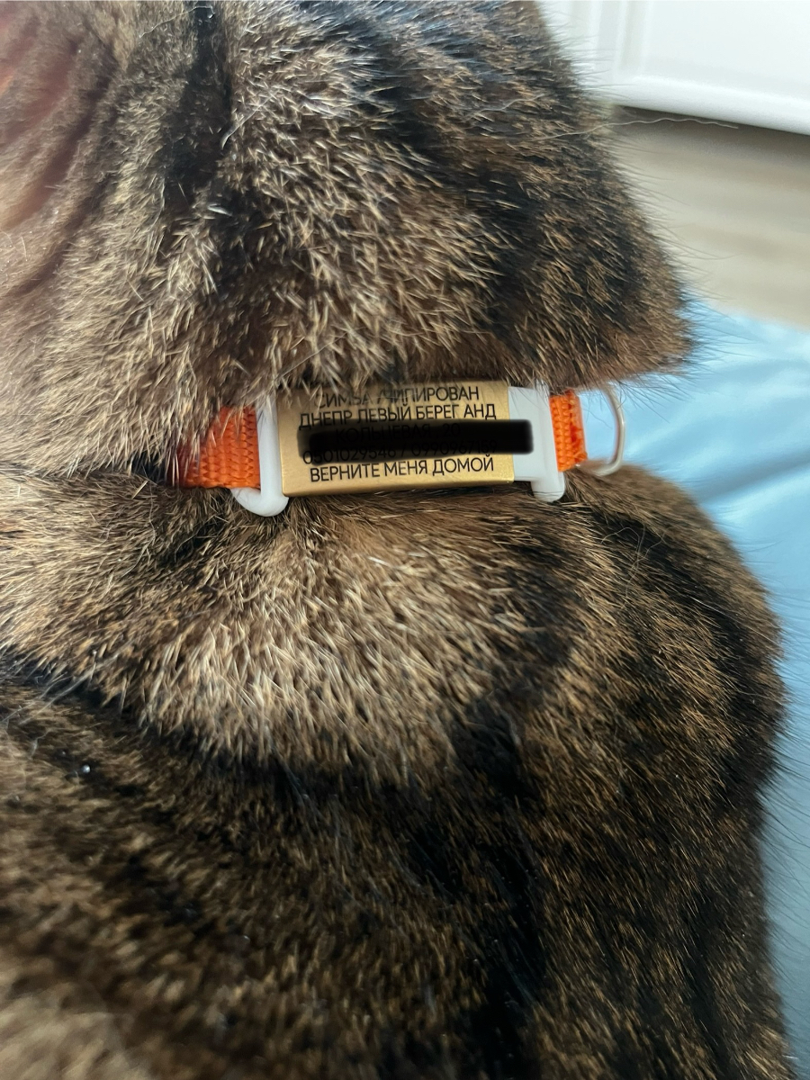 Helpid відгуки